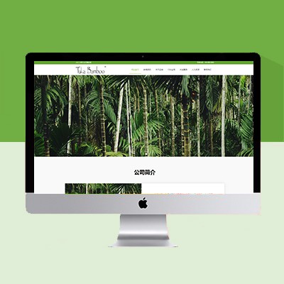 企業(yè)網(wǎng)站模板